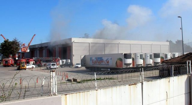 Samsun Limanı&#039;nda yangın!