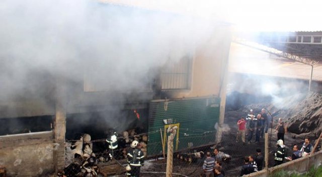 Aydın&#039;da fabrika yangını, 2 kişi hastaneye kaldırıldı