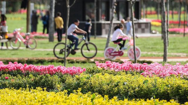 Bursa milyonlarca çiçekle ilkbaharı karşıladı