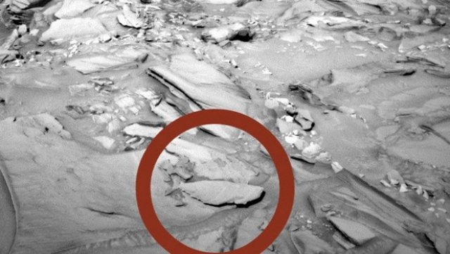 Mars&#039;ta balık fosili mi bulundu?