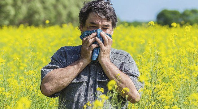 Polen alerjisi yaşayanlara piknik uyarısı