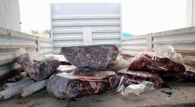 5 ton kaçak domuz eti imha edildi