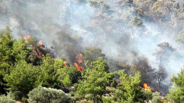 Güney Kıbrıs&#039;taki orman yangını 3. gününde devam ediyor