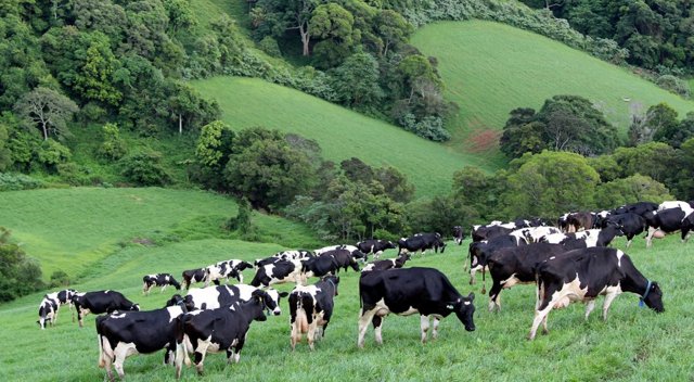 Uganda’dan, et üretimi için Türk şirkete dev arazi