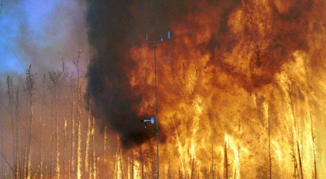 Adana&#039;da büyük yangın