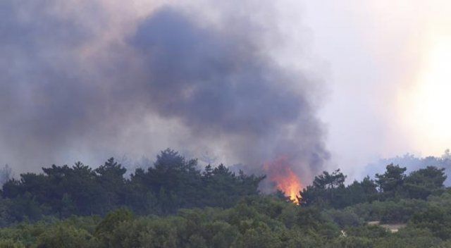 Eskişehir&#039;de korkunç orman yangını