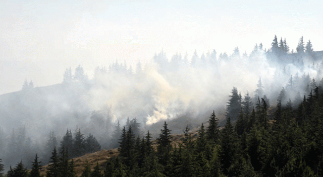 Eskişehir&#039;de korkutulan orman yangını