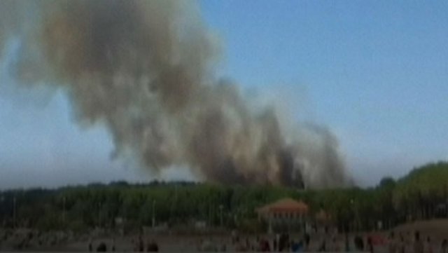 Gelibolu Yarımadası&#039;nda orman yangını