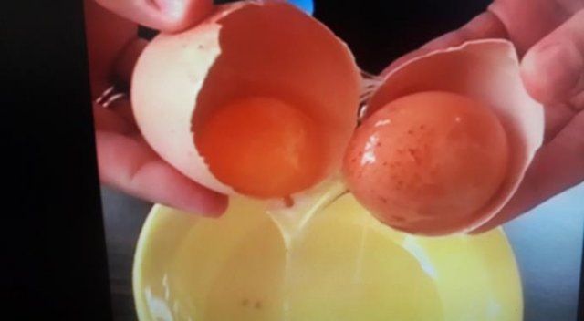 Görenler gözlerine inanamadı! Yumurtlayan yumurta gerçek oldu