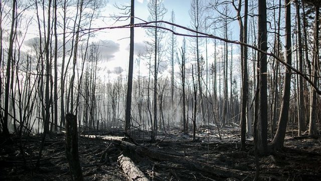 Portekiz&#039;de orman yangınları alarm veriyor