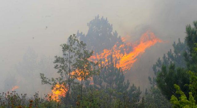 Uşak&#039;taki orman yangınında 1 kişi hayatını kaybetti
