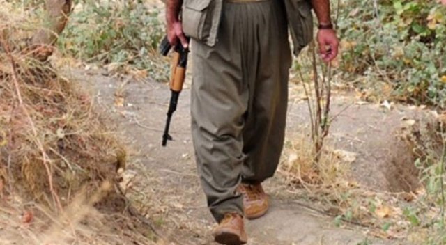PKK&#039;lı teröristler köy muhtarını kaçırdı