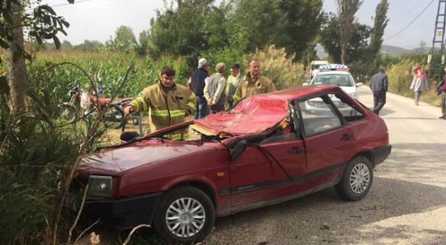 Seyir halindeki aracın üzerine ağaç devrildi, 1 kişi hayatını kaybetti