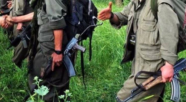 Tunceli&#039;de PKK&#039;ya ağır darbe