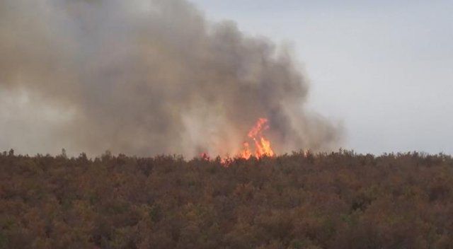 Edirne&#039;de orman yangını