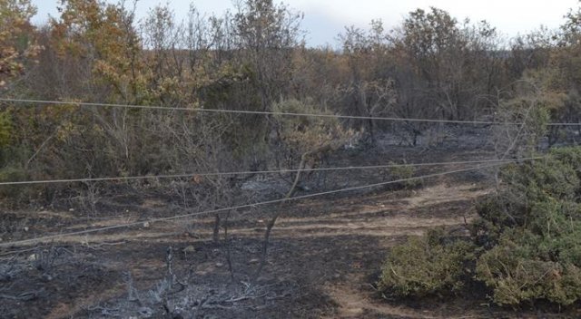 Edirne&#039;deki orman yangını söndürüldü