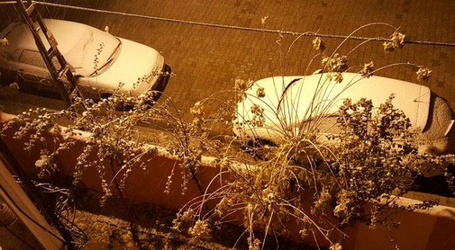 Tatvan&#039;da kar yağışı etkisini arttırdı