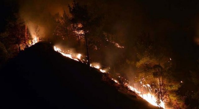 Tokat&#039;ta korkutan orman yangını