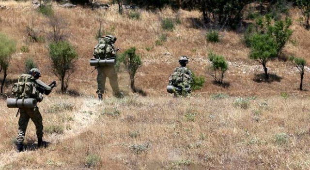 Lice&#039;de PKK&#039;ya yönelik geniş çaplı operasyon başlatıldı
