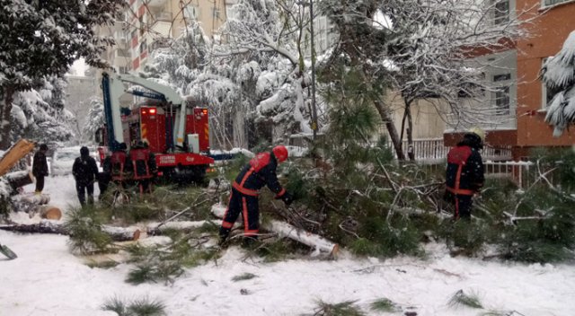 İstanbul&#039;da kar ağaçları devirdi
