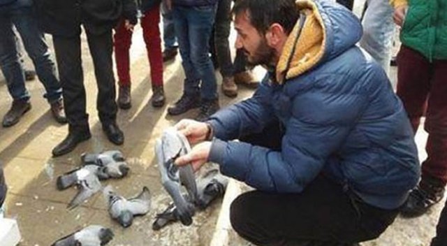 Kırıkkale&#039;de güvercinleri zehirleyen kişi belli oldu