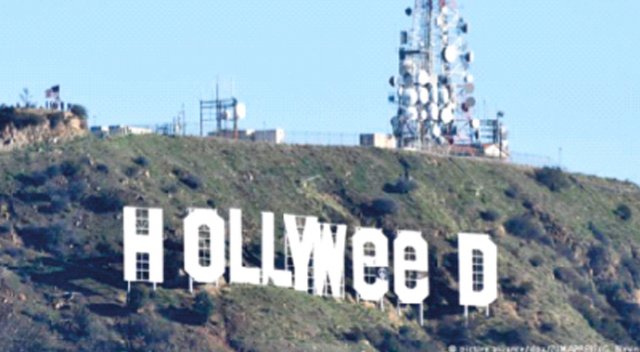 Ünlü Hollywood, Hollyweed oldu