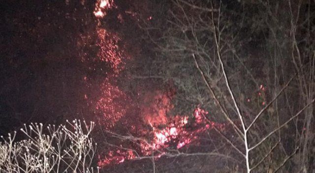 Zonguldak&#039;ta orman yangını büyümeden söndürüldü