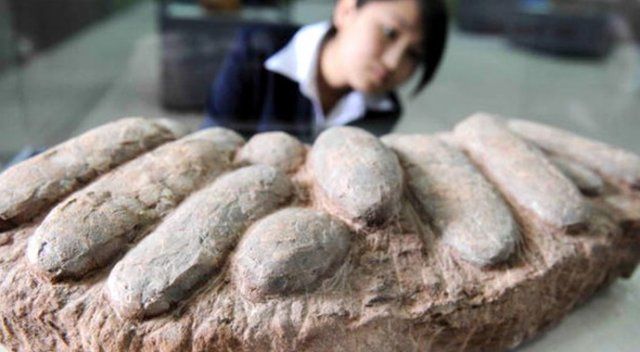 Çin&#039;de 80 dinozor yumurtası fosili çalan kaçakçılar yakalandı