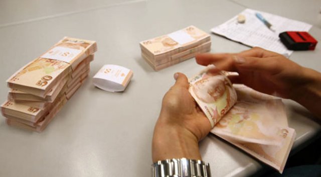 Maliye Bakanlığı vergi muhbirlerine 3,1 milyon lira ödedi