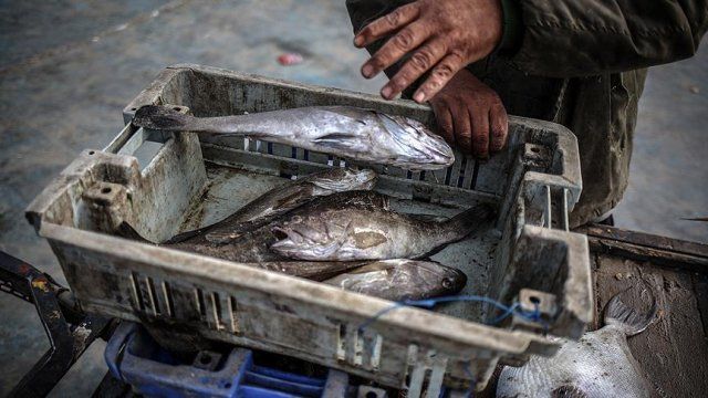 Gazzeli balıkçılar &#039;avlanma mesafesinden&#039; yakınıyor