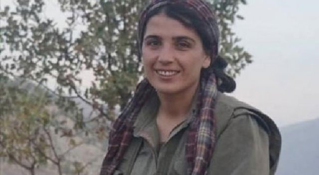 Suruç&#039;taki saldırıyı gerçekleştiren PKK&#039;lı kadın çıktı!