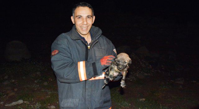 4 metrelik kanala düşen yavru köpeği itfaiye kurtardı