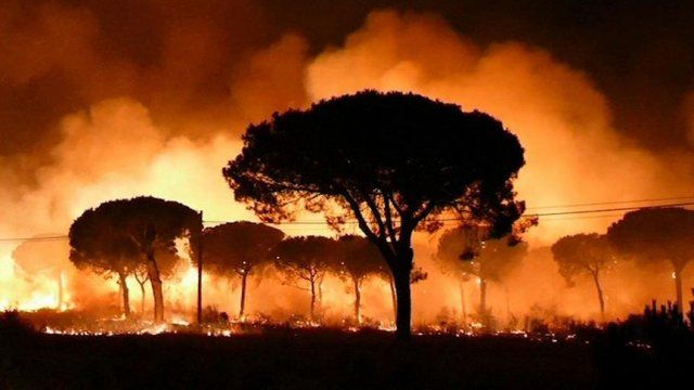 İspanya&#039;daki orman yangını nedeniyle 2 bin kişi tahliye edildi