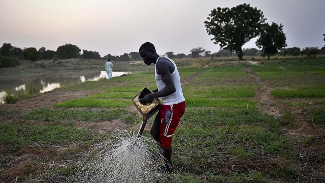 Kongo&#039;da iklim değişikliği çiftçileri endişelendiriyor