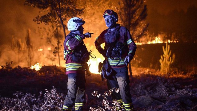 Portekiz&#039;deki orman yangınında ölü sayısı artıyor