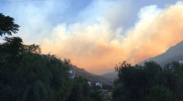 Bodrum’daki yangında 20 hektar alanı kül oldu