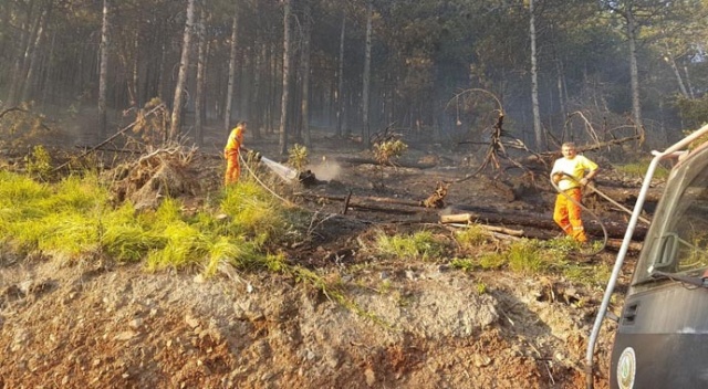 Bursa’da orman yangınında 5 hektarlık alan kül oldu