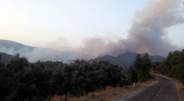İzmir&#039;de orman yangını! Ekipler müdahale ediyor
