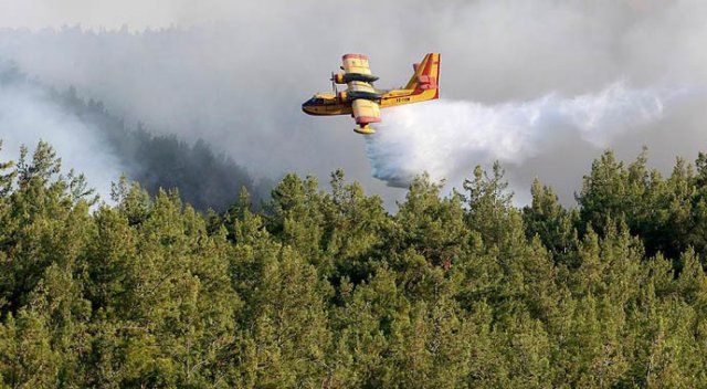 İzmir&#039;deki orman yangını kısmen kontrol altına alındı