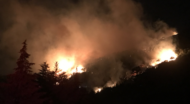 İzmir Karşıyaka&#039;da korkutan orman yangını