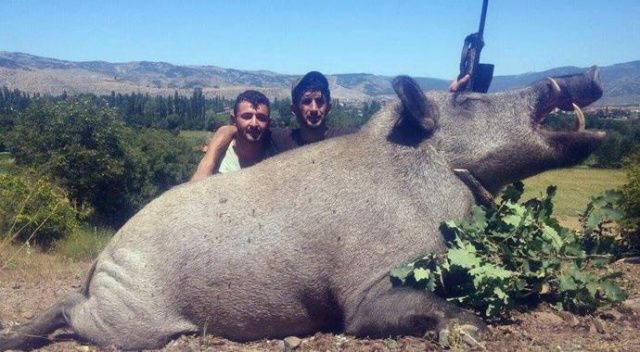 Lüksemburglu avcılar 350 kilo ağırlığında domuz avladı