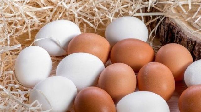 Yumurta fiyatları en düşük seviyede