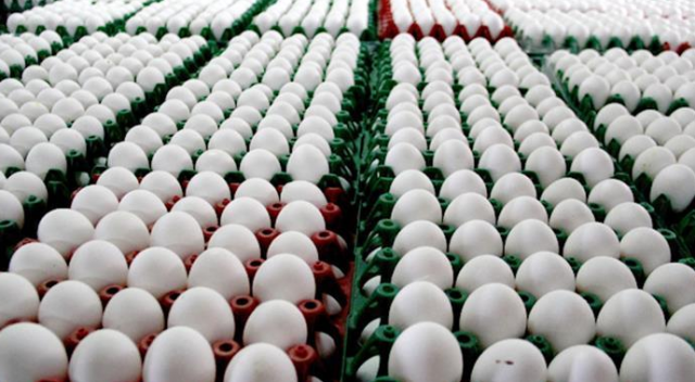 Almanya&#039;da &#039;böcek ilaçlı yumurta&#039; üreticilerine soruşturma başlatıldı