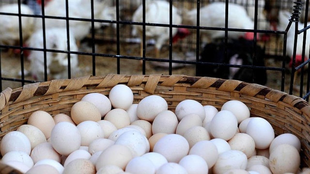 Avrupa&#039;daki ilaçlı yumurta skandalı büyüyor