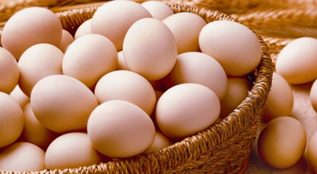 Danimarka’da 20 ton zehirli yumurta satıldı