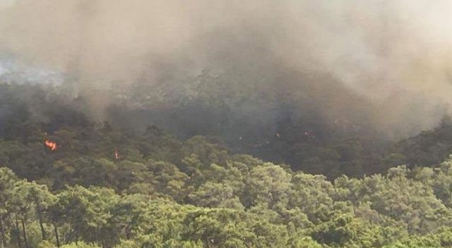 Fethiye&#039;de orman yangını! Alevler her geçen dakika büyüyor