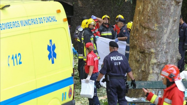 Portekiz&#039;de ağaç devrildi: 11 ölü