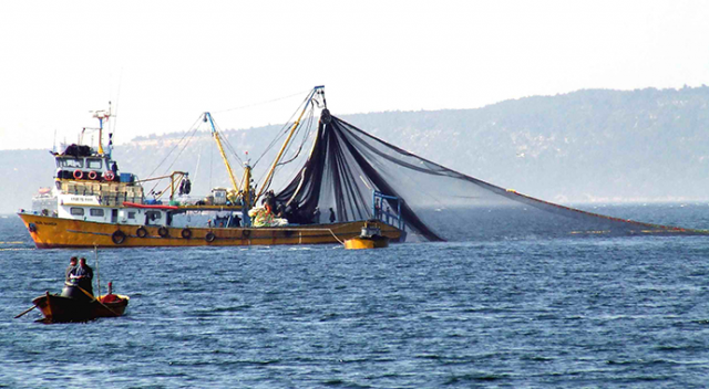 Türk balıkları Çin yolcusu