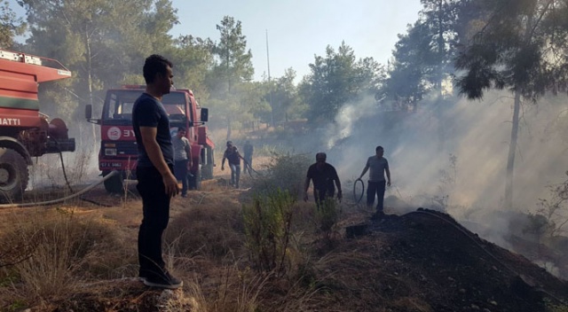 Antalya&#039;da çıkan orman yangını büyümeden söndürüldü