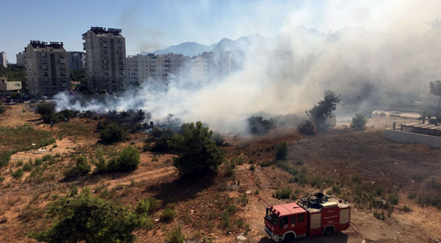 Antalya&#039;da orman yangını!